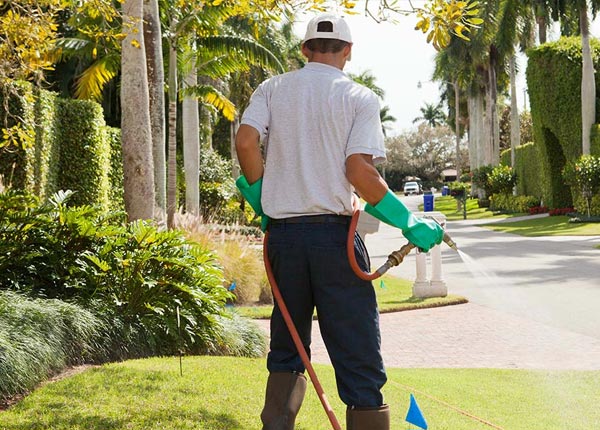 About Mcalester OK Pest Control